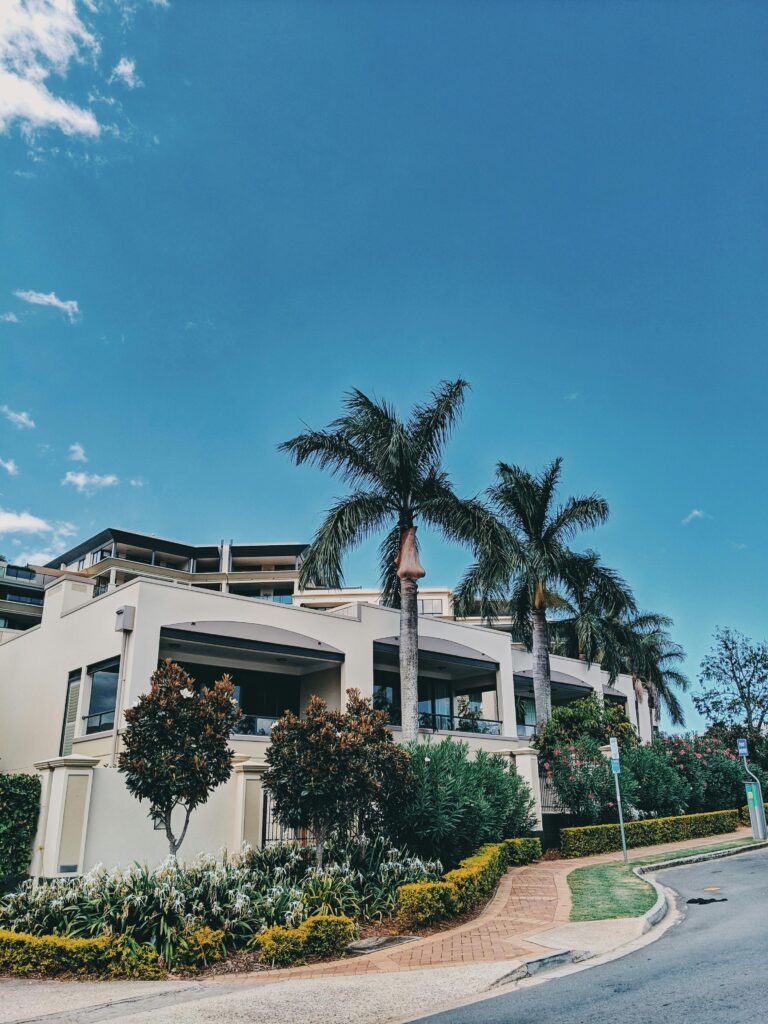 Contemporary house in Brisbane surrounded by lush palm trees under a bright blue sky.